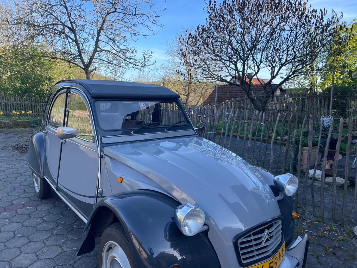 Zur Glashuette Landpension Fabrikschleichach Buitenkant foto